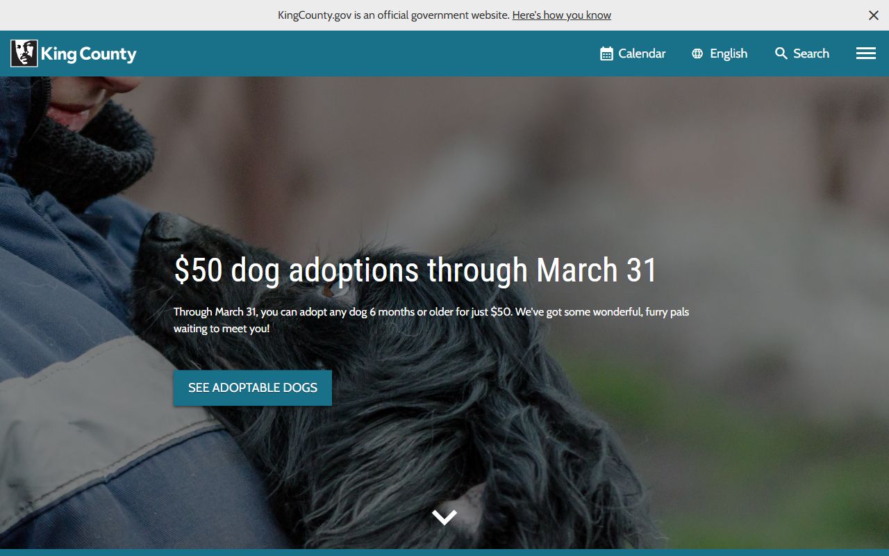 King County government official website for background check and public records